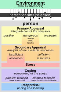 Lazarus’ transactional model of stress