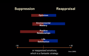 "Emotional Reappraisal" Zoom-Out